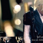 Blondie-AbbeyRoad-2011-DVD