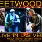 FM-LasVegas-30thDec2013-ATV