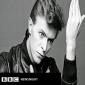 Newsnight Tribute