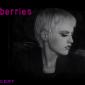 The Beat In Concert - The Cranberries