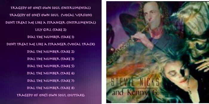 3_stevienicks-sessions_alt_book